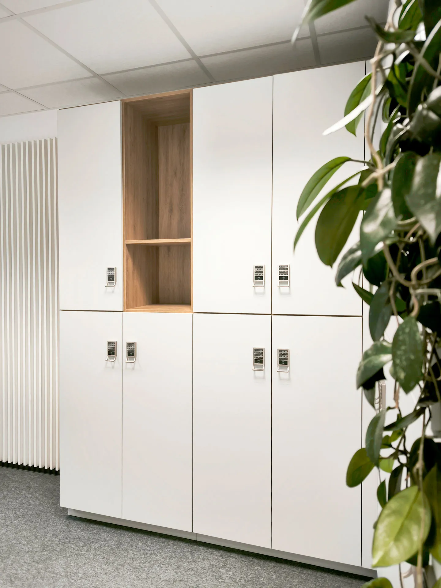 luxa-siedziba_alsanit-2