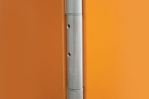 Zawias wahadłowy do kabin Aquari